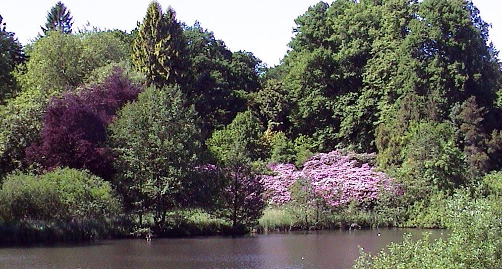 Ruhepark Lehmkuhlen , Germany